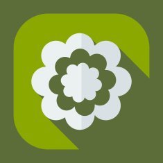 Flat modern design with shadow icon flower N35