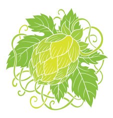 Hops vector