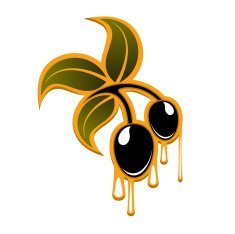 Olive branch with black fruits and drops