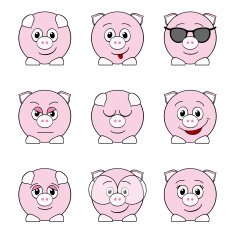 funny pigs N2