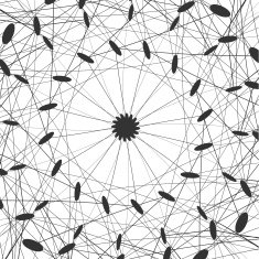 Vector Social Networks N6