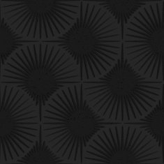 Textured black plastic shapes with rays