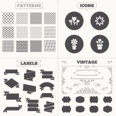 Flowers icons Bouquet of roses symbol N4