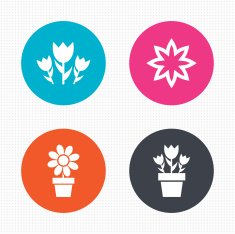 Flowers icons Bouquet of roses symbol N5
