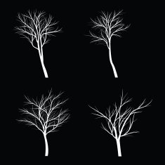Trees with dead branch N46