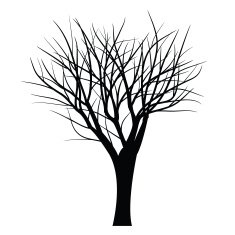 Trees with dead branch N47