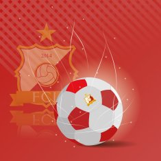 Soccer N172