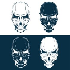 set of skulls vector design template