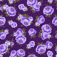 repetition of the rose N2