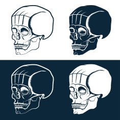 set of skulls vector design template N14