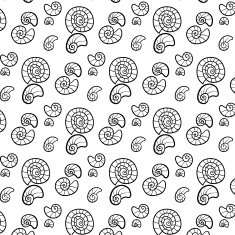 Black and white Seashell illustration aqua