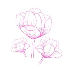 Abstract Elegance pattern with floral background