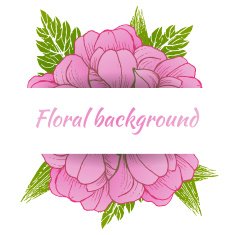 Colorful floral collection with leaves and flowers N5