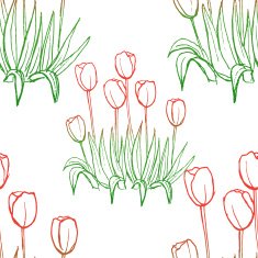tulips pattern on white seamless background N5