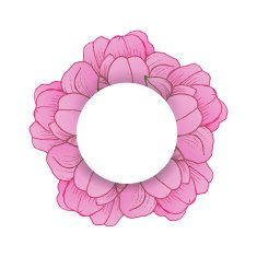 Colorful floral collection with leaves and flowers N7