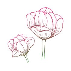 Abstract Elegance pattern with floral background N13