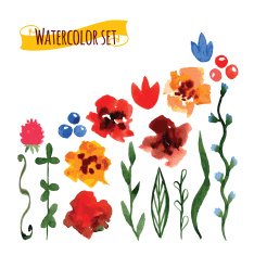 Set of handpainted watercolor vector flowers and leave