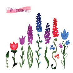 Set watercolor vector flowers and leaves