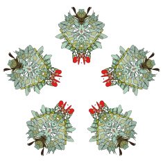 floral colorful ethnic fantastic figure N2
