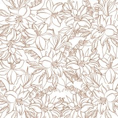 Floral contour pattern lily and mine