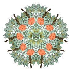 floral colorful ethnic fantastic figure N3