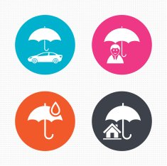 Life Real estate or Home insurance icon N2