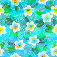Tropical flowers plumeria N2