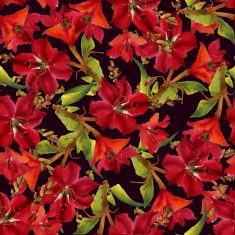 Watercolor Flowers N94