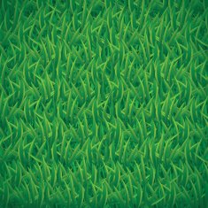 green grass background N2