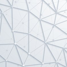 Vector modern abstract polygonal space background N5