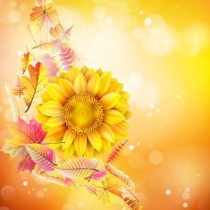Autumn background with colorful leaves EPS 10 N2