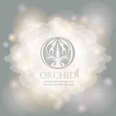 Calligraphic frame on magical lights background N3