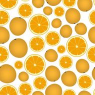 colorful orange fruits and half seamless pattern eps10
