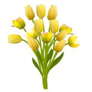 Floral Background with Tulips Vector Illustration N15