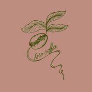 bio coffee N4