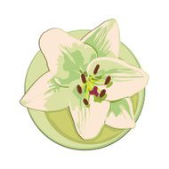 Lily Flower N4