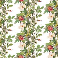 Dog rose N4