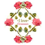 Watercolor blooming geranium N2