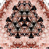 floral colorful ethnic fantastic figure N4