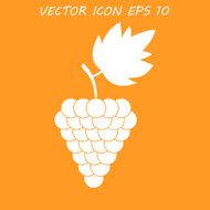 Grapes Icon N8