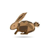 Rabbit polygon