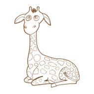 Beautiful adult Giraffe looking at us