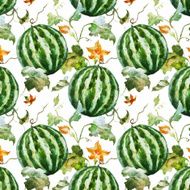 Watercolor watermelon melon pattern N13