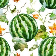 Watercolor watermelon melon pattern N14