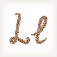 Braids hair font N3