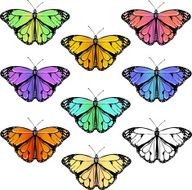 Set of colorful butterflies N3