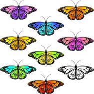 Set of colorful butterflies N4