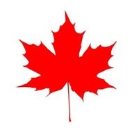 red maple leaf vector N2