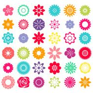 Flowers N198