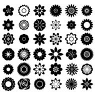 Flowers N199